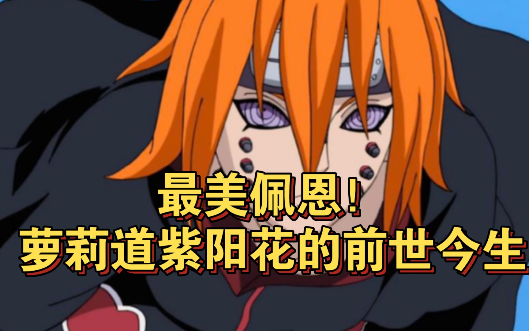 最美佩恩!萝莉道紫阳花的前世今生