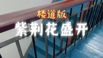 Télécharger la video: 【紫荆花盛开】永远的紫荆花 凭爱开花 同处一家