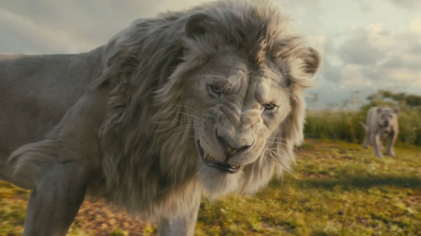 狮子王新作《狮子王:木法沙传奇》12月20日上映