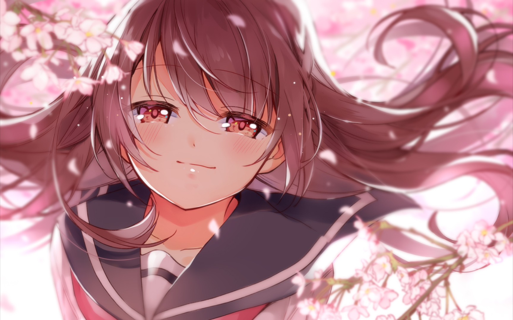 [美图合集] 樱吹雪