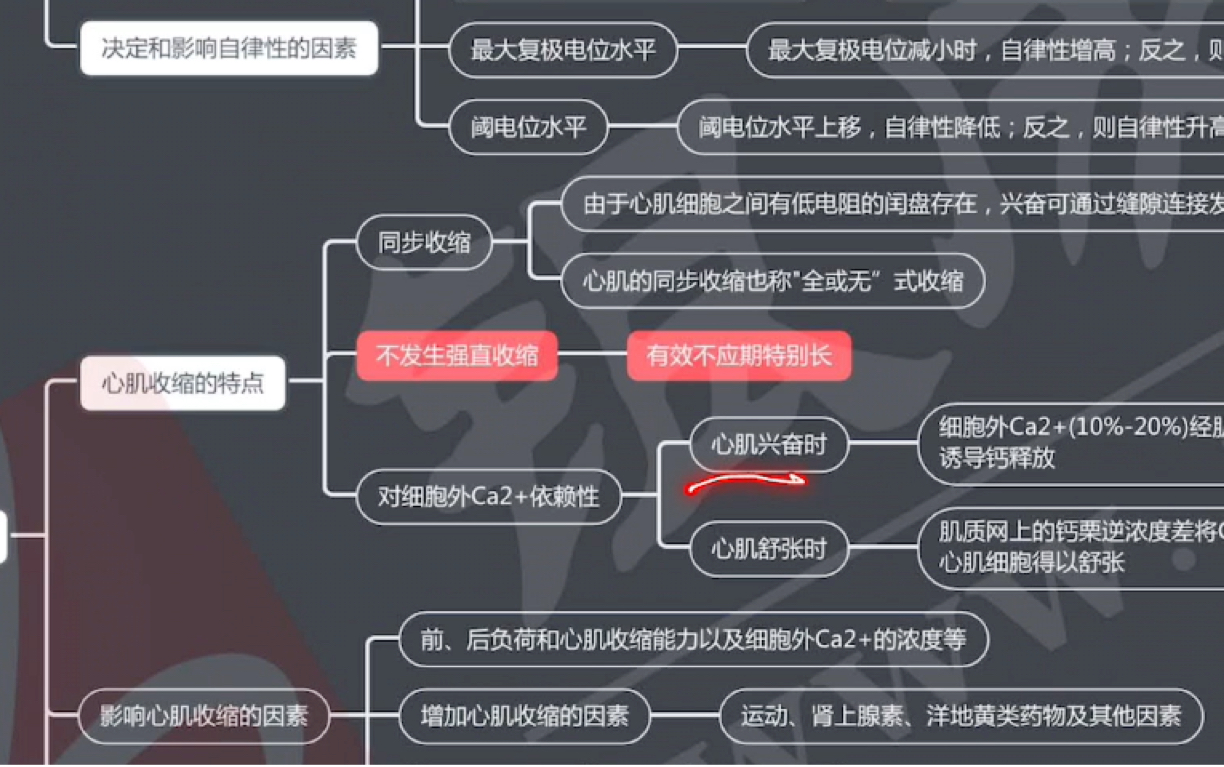 思维导图复盘梳理 生理第四章 血液循环 (一)哔哩哔哩bilibili