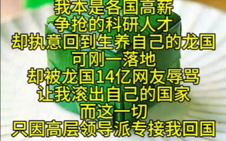 我本是各国高薪争抢的科研人才却执意回到生养自己的龙国可刚一落地却被龙国14亿网友辱骂让我滚出自己的国家而这一切只因高层领导派专接我回国哔哩...