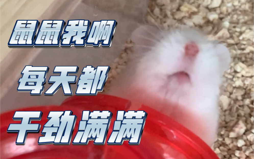 领域展开:干劲满满