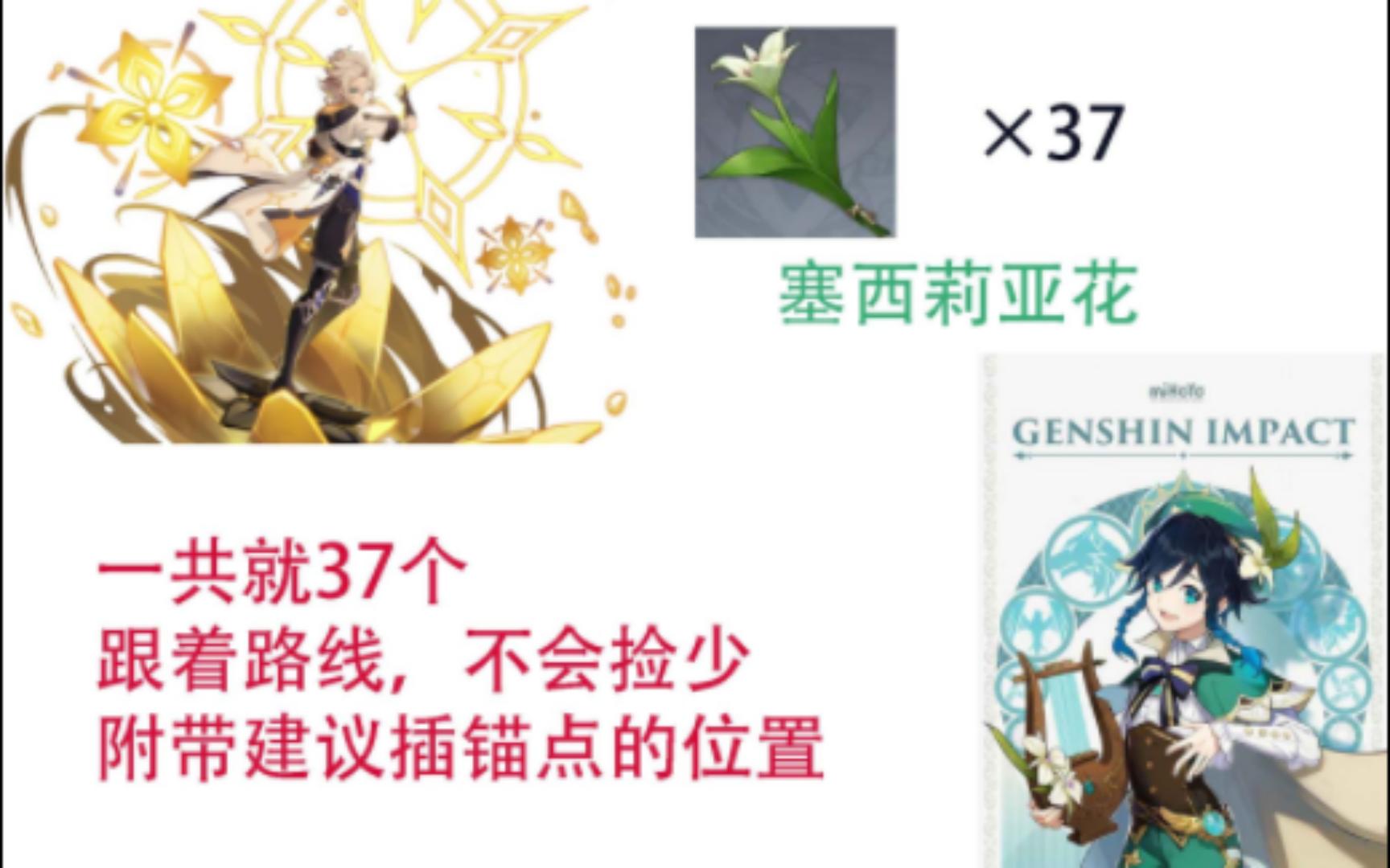 原神塞西莉亚花-摘星崖(37)【温迪阿贝多】