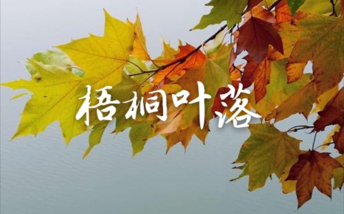 [图]《梧桐叶落/秋闺怨》寄生草