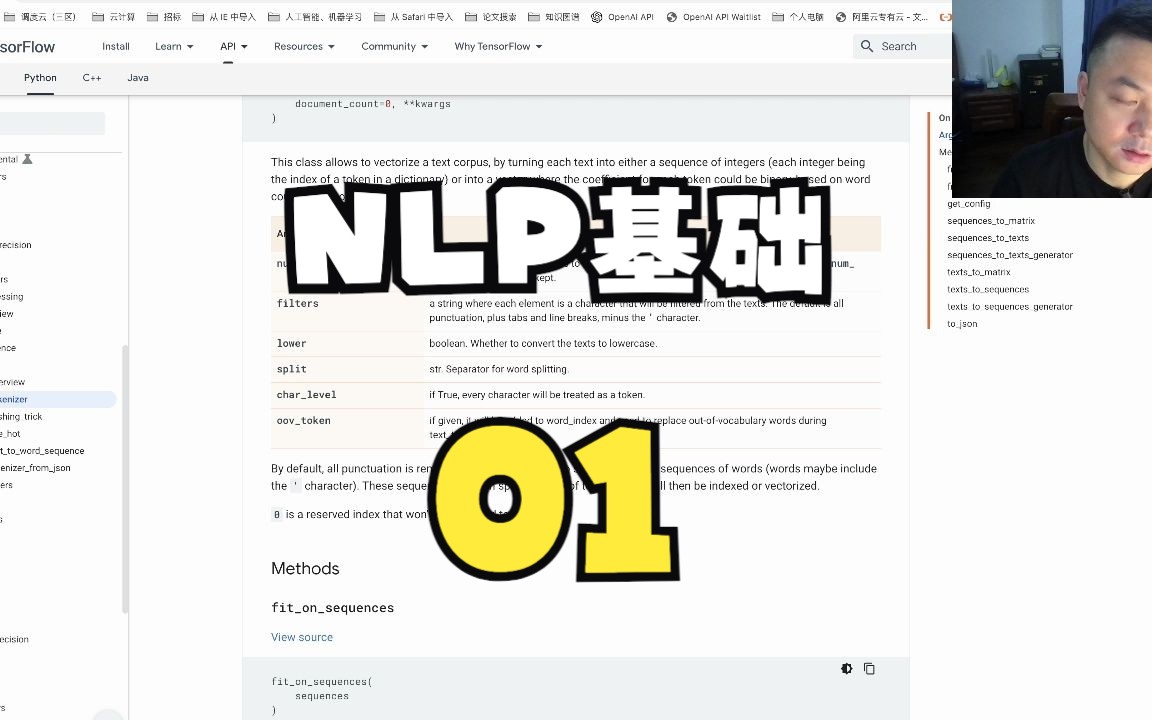 NLP基础 01  分词器介绍哔哩哔哩bilibili