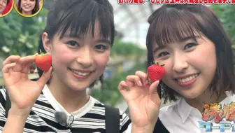 中字 桃草与鹤瓶 芳根京子 哔哩哔哩 Bilibili