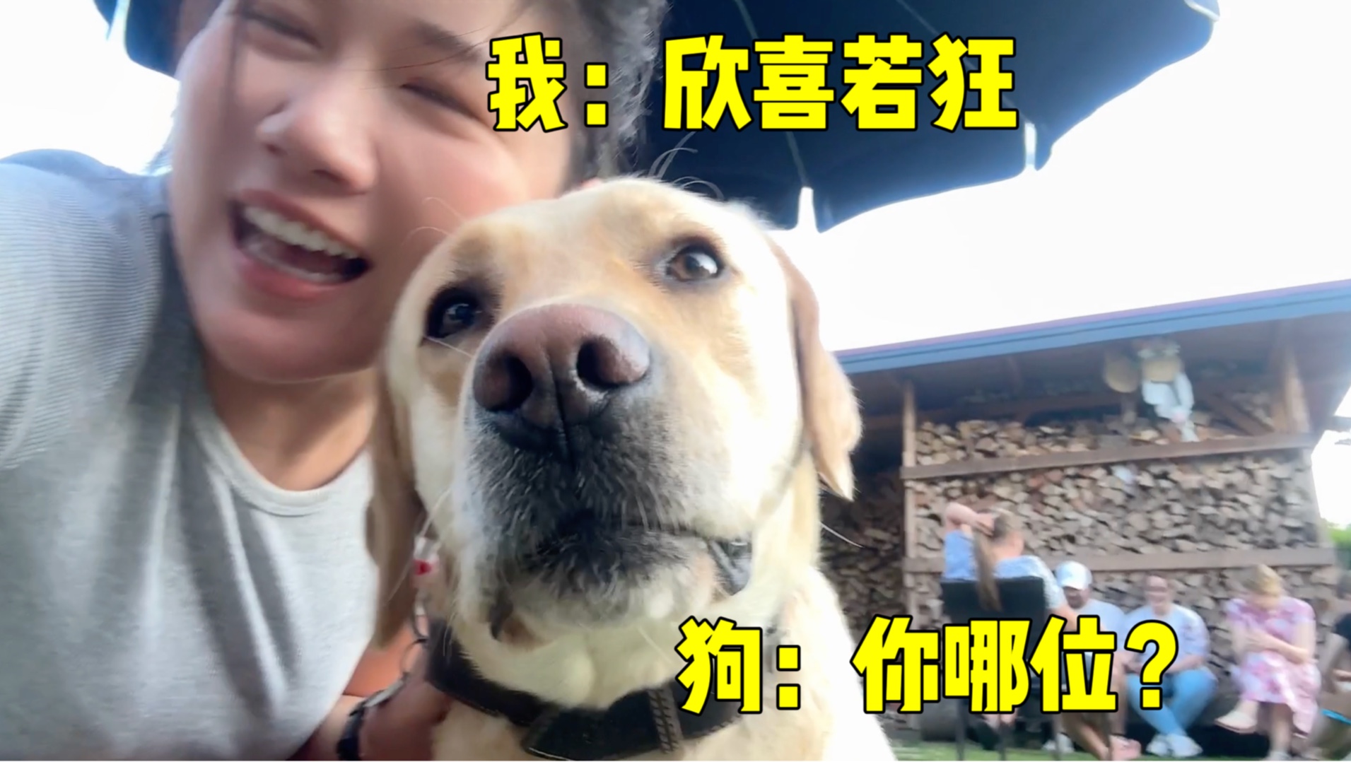 探亲Vlog|终于回德国见我的狗儿子啦!哔哩哔哩bilibili