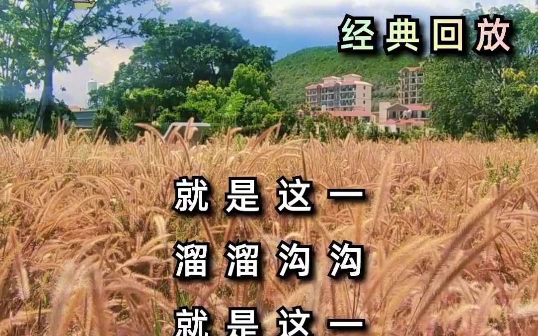 [图]《就恋这把黄土》经典歌曲，百听不厌