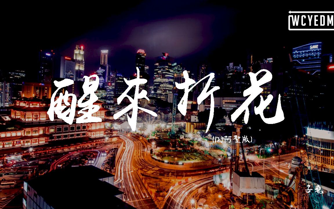 子尧 - 醒来折花 (dj阿圣版) 【動態歌詞/pīn yīn gē cí】