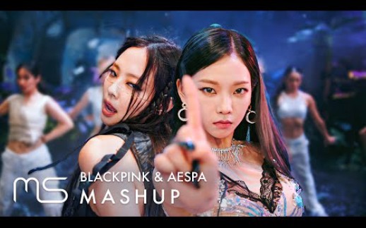 [图]BLACKPINK x aespa - Pink Venom x Black Mamba (feat. Next Level) | Mashup