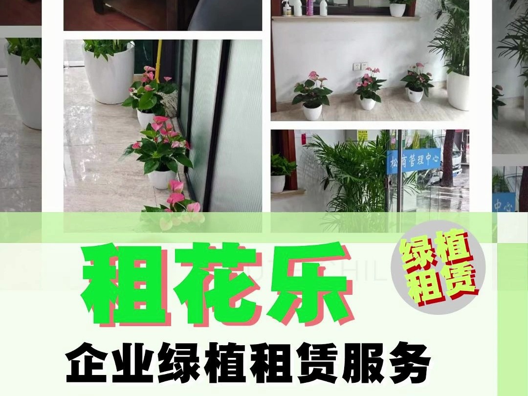 租花乐【企业绿植租赁服务】 自有苗圃严选精品绿植、 专业的养护团队 、完善的服务体系 ,提供一流的植物租赁服务哔哩哔哩bilibili