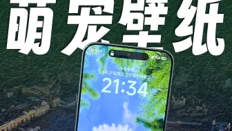 小米高清萌宠动态壁纸真可爱，给大家提取出来了