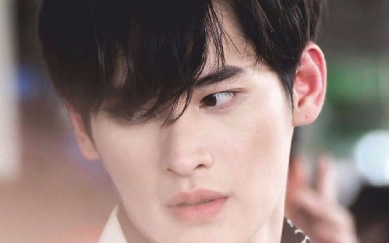 九哥美颜向合集【待到重逢时】【kaoearth】