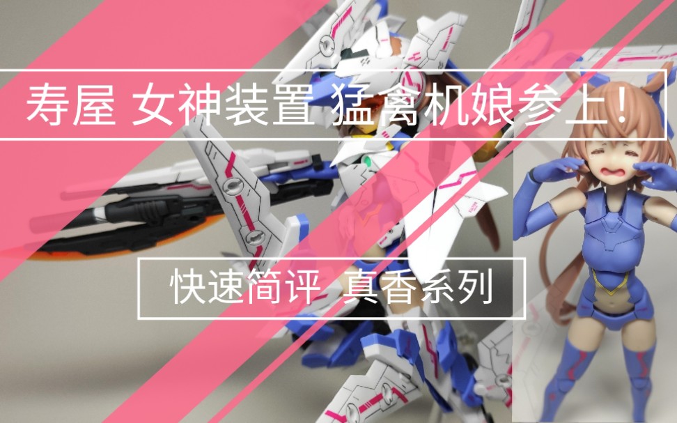 寿屋 女神装置 sol raptor 小迷糊——猛禽机娘 我很可爱也很香(简评)