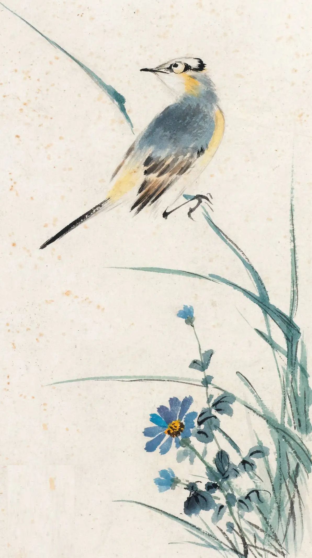 落叶,孤菊,白头翁