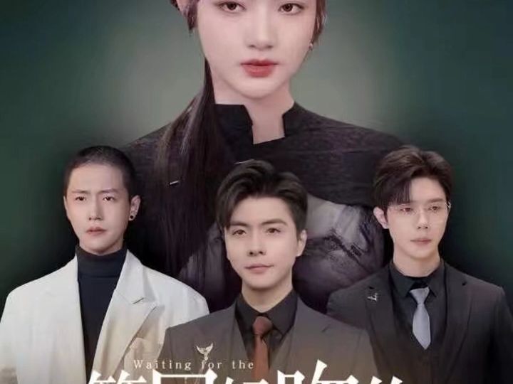 等风轻吻你(完整版)