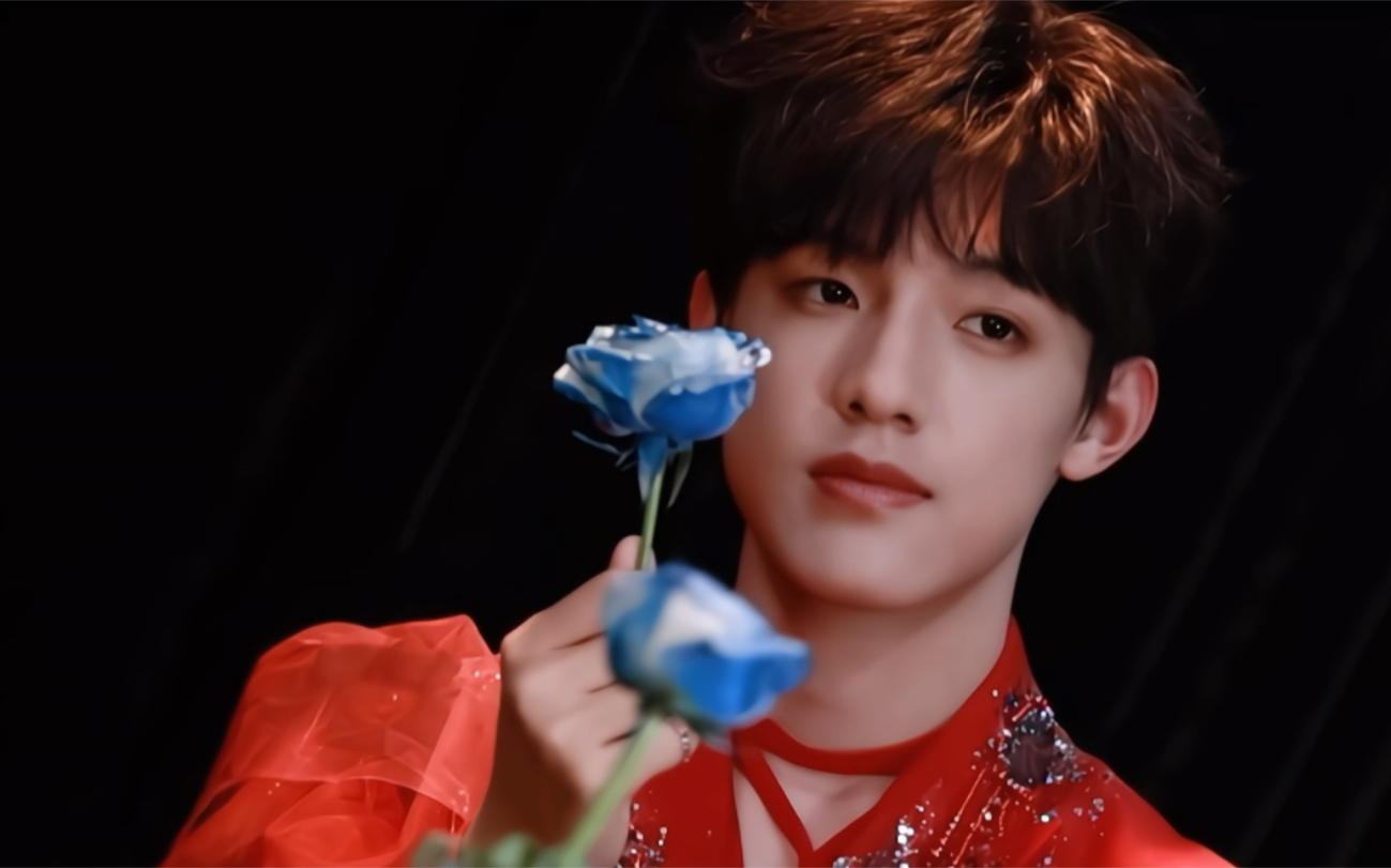 【张泽禹】让我送你一朵蓝色玫瑰