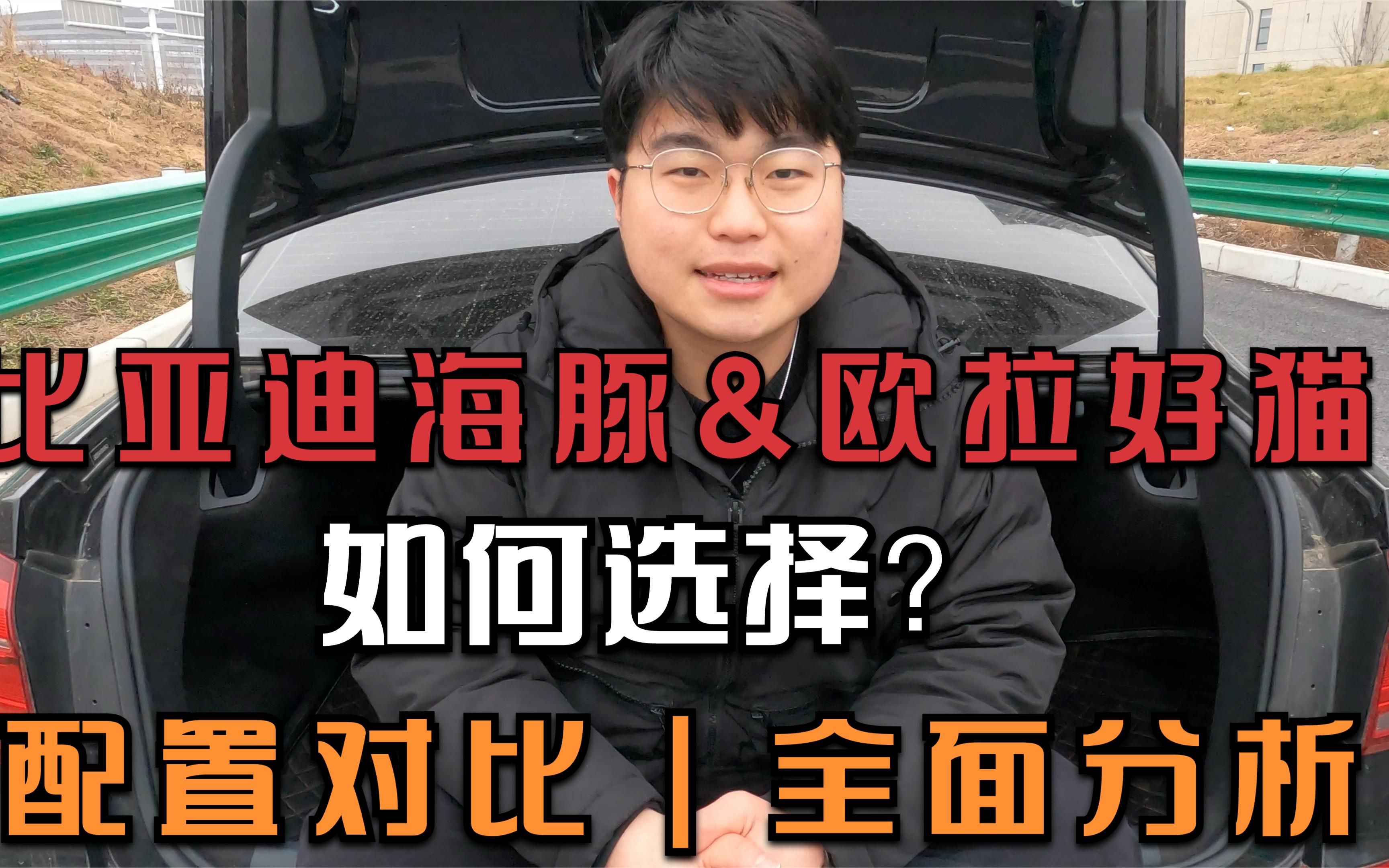 比亚迪海豚和欧拉好猫如何选择配置对比全面分析