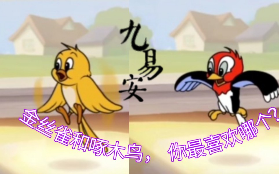 活动  猫和老鼠:金丝雀和啄木鸟,你最喜欢哪个?