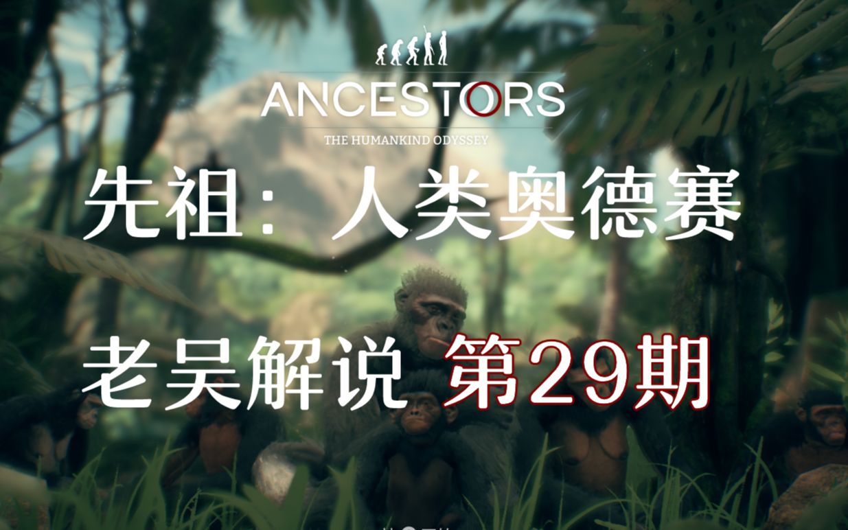老吴解说先祖人类奥德赛第29期猴面包树