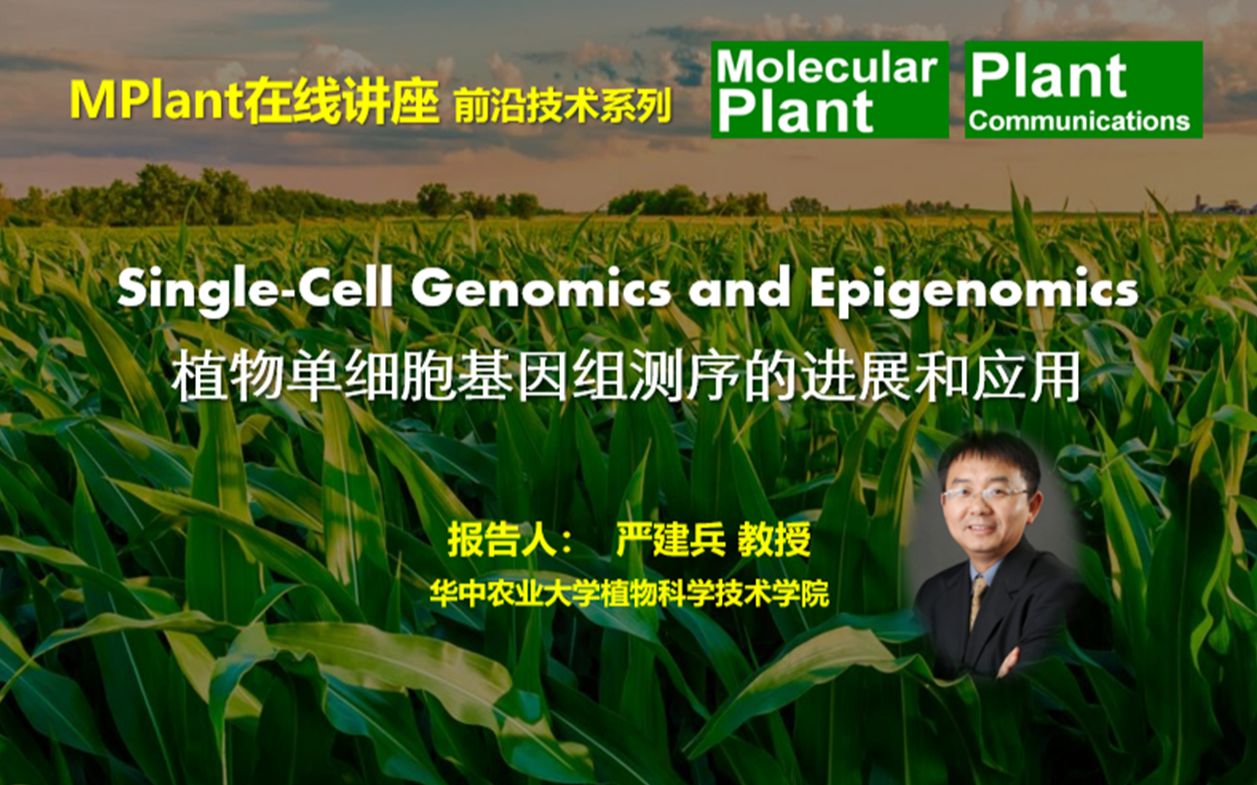 MP在线讲座前沿技术系列录播回放 第七讲 严建兵植物单细胞基因组测序的进展和应用哔哩哔哩bilibili