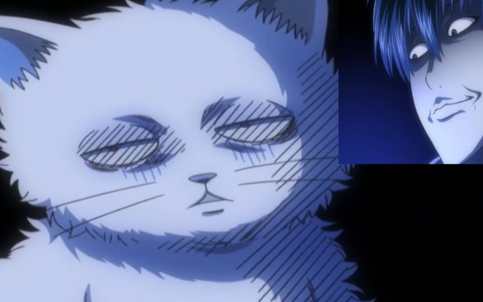 【银时】爆笑第25集 银时变成猫_哔哩哔哩 (゜-゜)つロ 干杯~-bili