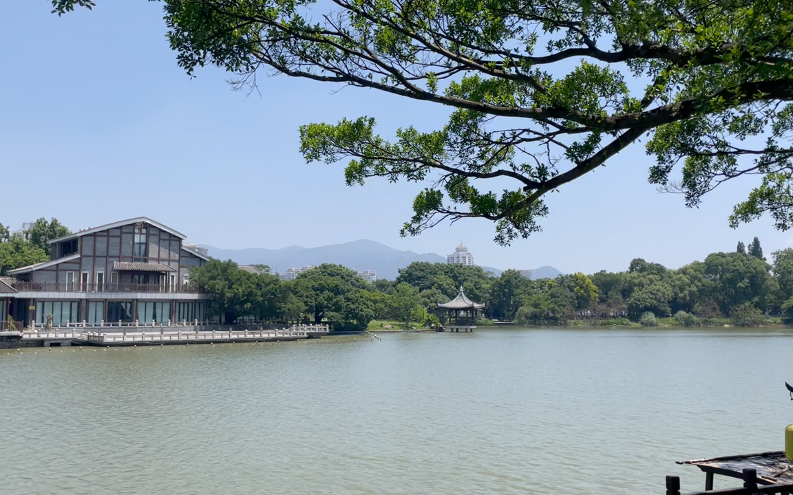 夏日湖中公园,温州江心屿