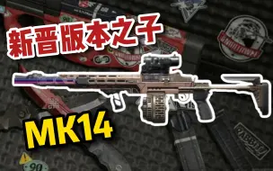 [暗区突围]新晋版本之子-MK14