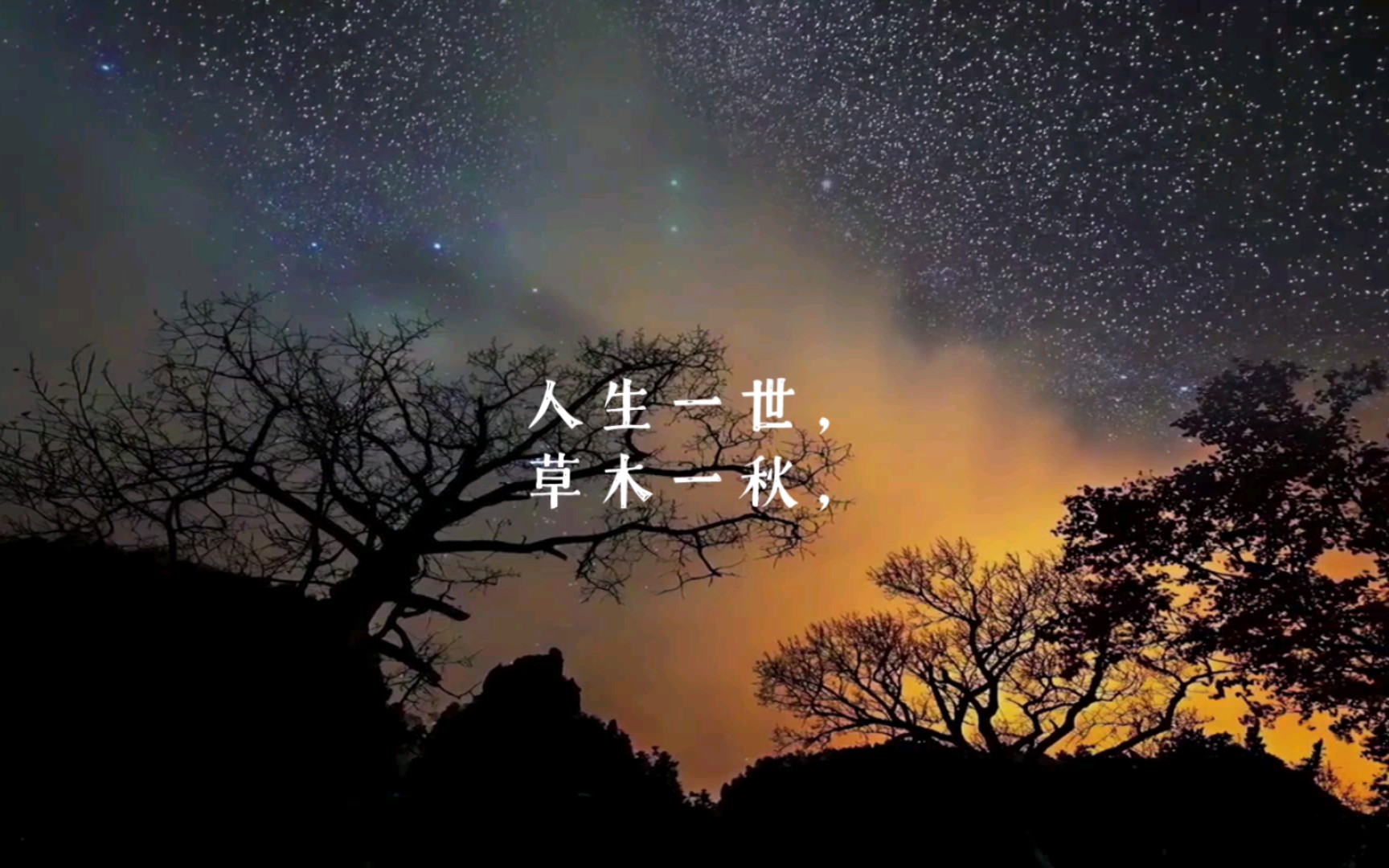 人生一世,草木一秋.