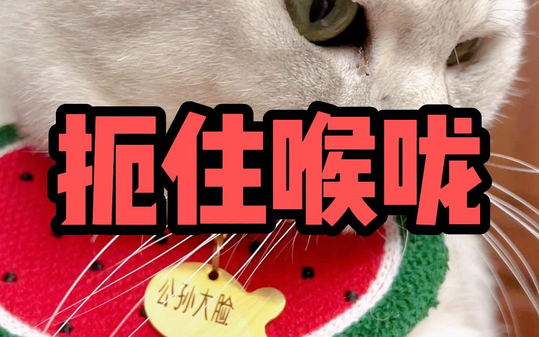 被命运扼住了喉咙,不如跟我这样做.