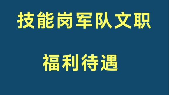 技能岗军队文职福利待遇#文职#技能岗军队文职哔哩哔哩bilibili