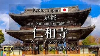 Descargar video: 日本绝景 京都仁和寺的冬天