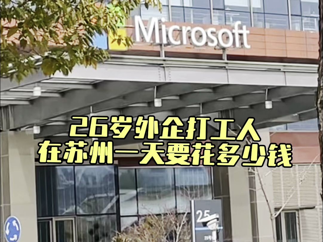 在全球市值最高的公司Microsoft上班是什么体验哔哩哔哩bilibili