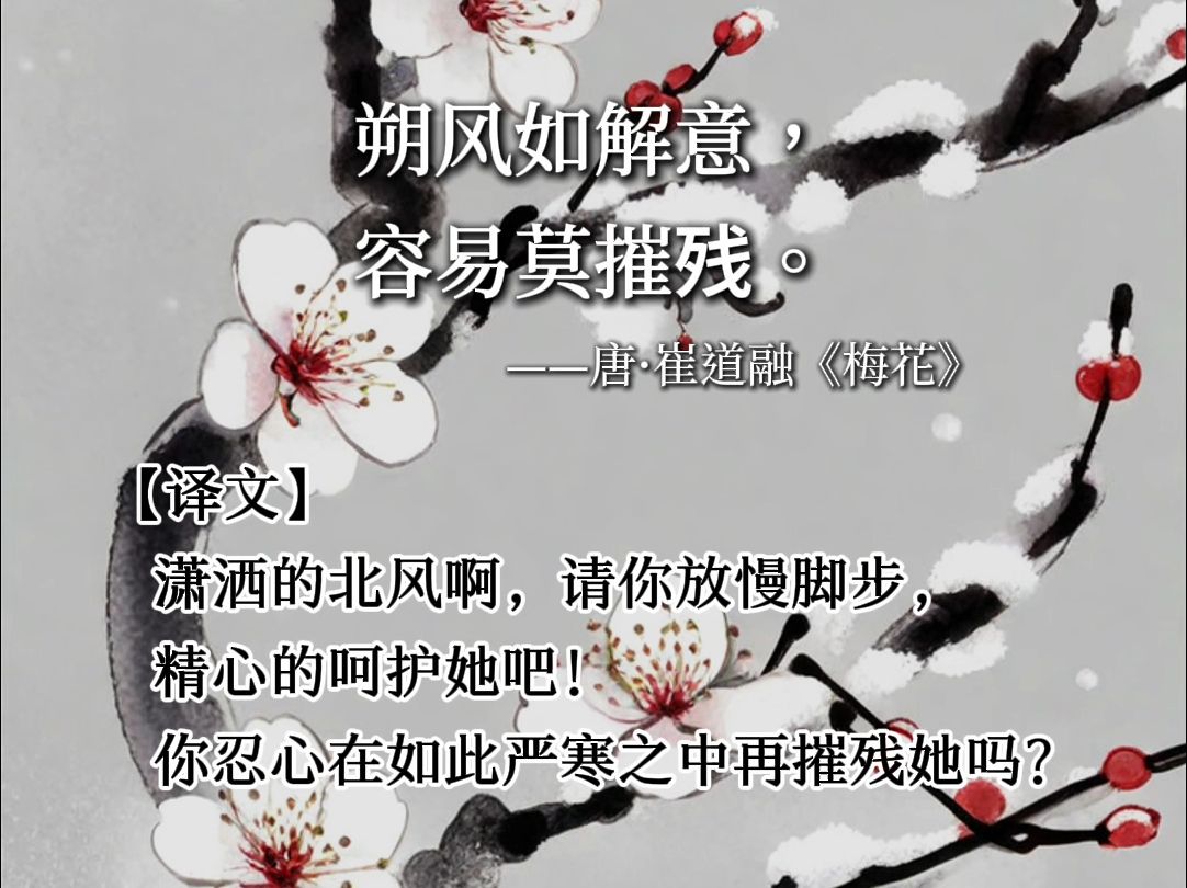 《梅花》哔哩哔哩bilibili