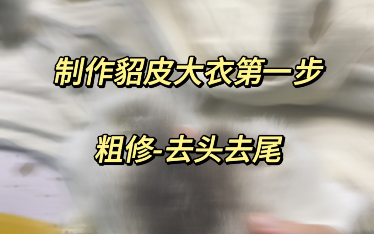 制作貂皮大衣首先要去貂头,貂腿还有尾巴,这些边角料也会被很多商家拿去做拼貂哦,大家一定注意哔哩哔哩bilibili