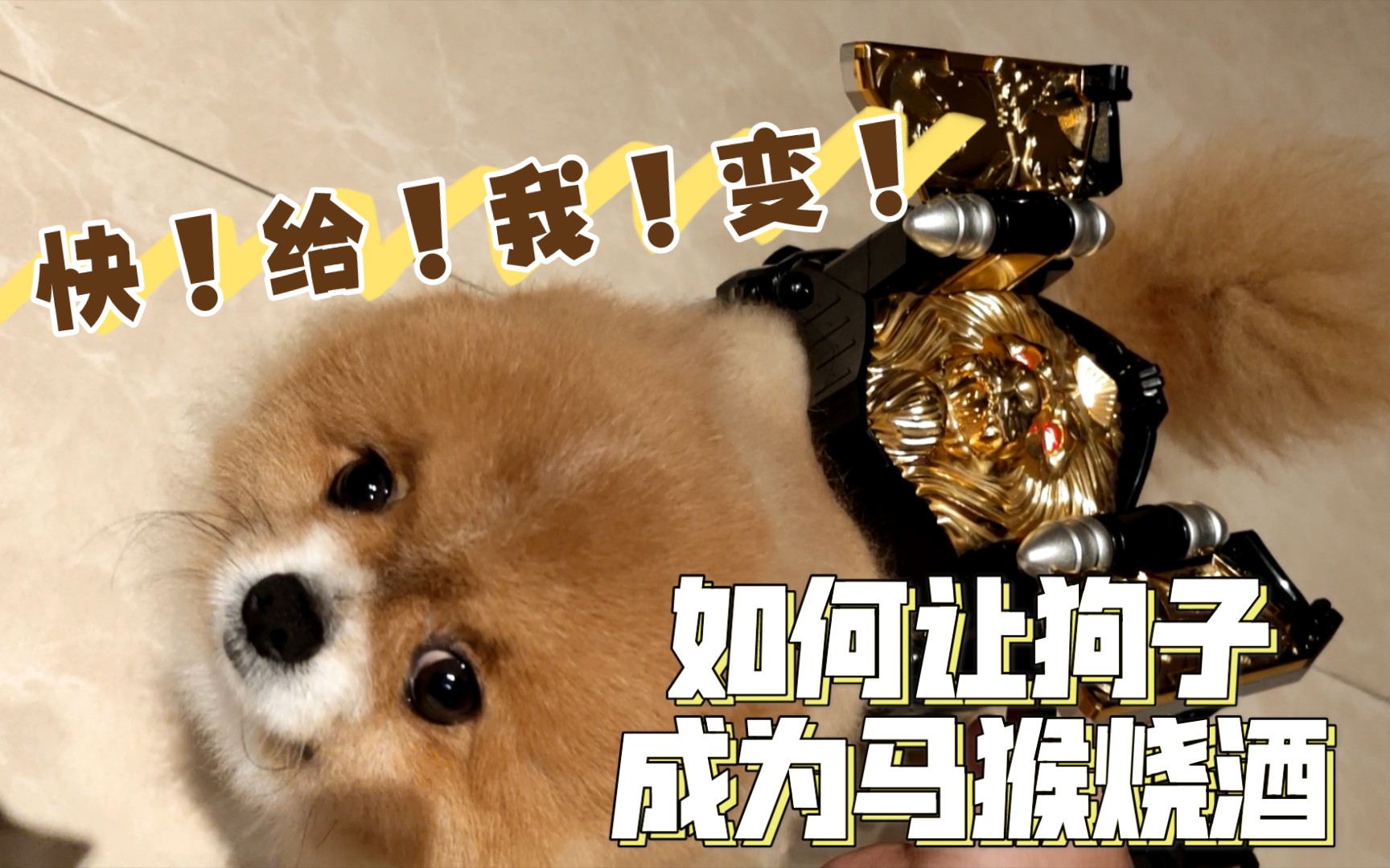 当代兽爷,快给我变!_哔哩哔哩 (゜-゜)つロ 干杯~-bilibili