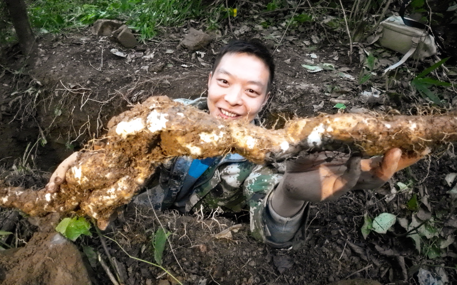 上山挖野生山药,一根藤挖4个小时才出3斤,最后却很开心