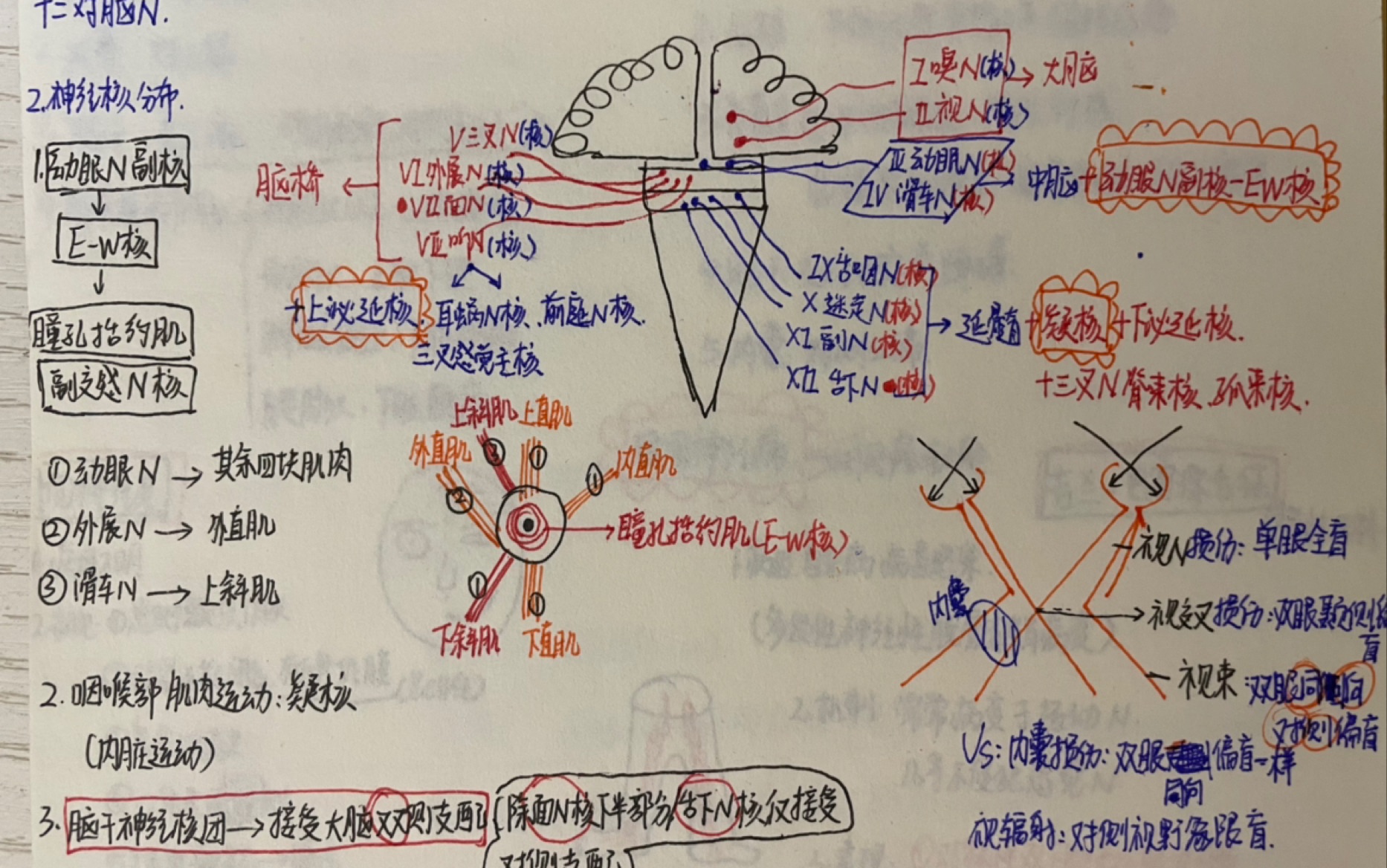 护理考研内科神经系统4哔哩哔哩bilibili