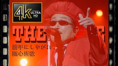 樱井贤-哔哩哔哩_Bilibili