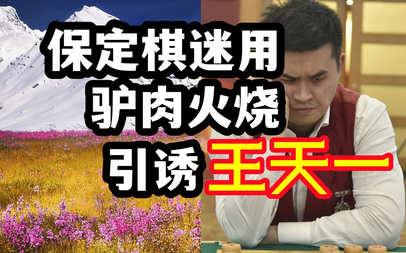 保定棋迷用驴肉火烧引诱王天一桌游棋牌热门视频