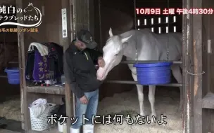 Скачать видео: 【赛马】不停对今浪老爷子撒娇的纯洁光辉 ソダシ 苏妲己