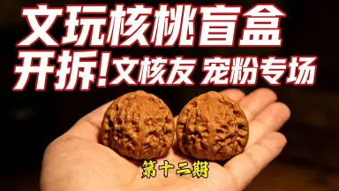 文玩核桃 龍门涧 文玩核桃龙门涧-哔哩哔哩_Bilibili