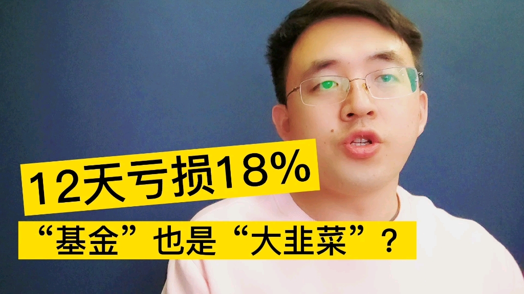 新基金成立不到一个月,12个交易日亏了近18%!这个你一定要了解,不然后悔莫及.哔哩哔哩bilibili