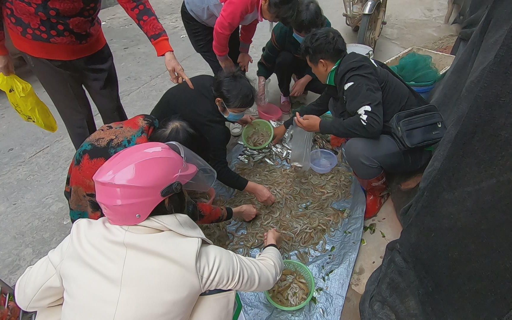 刀仔收网遇到渔群,还抓不少海虾,直接拉去摆摊赚了1000多块