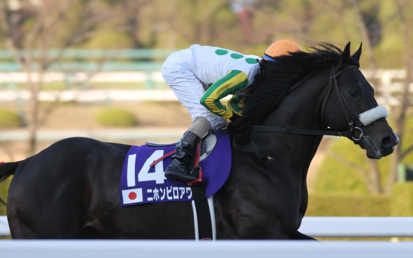 赛马2012122泥地日本杯gi曾梦共荣