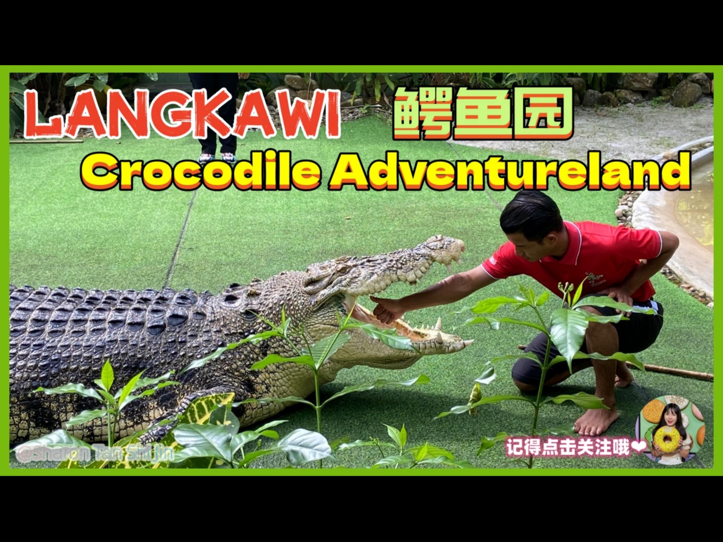 马来西亚 兰卡威 langkawi 鳄鱼园 crocodile adventureland | 超惊险