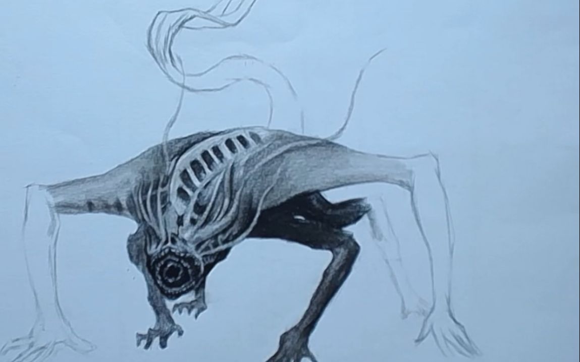 素描教学素描大神教你画素描动物刺鳗让你更快能上手一