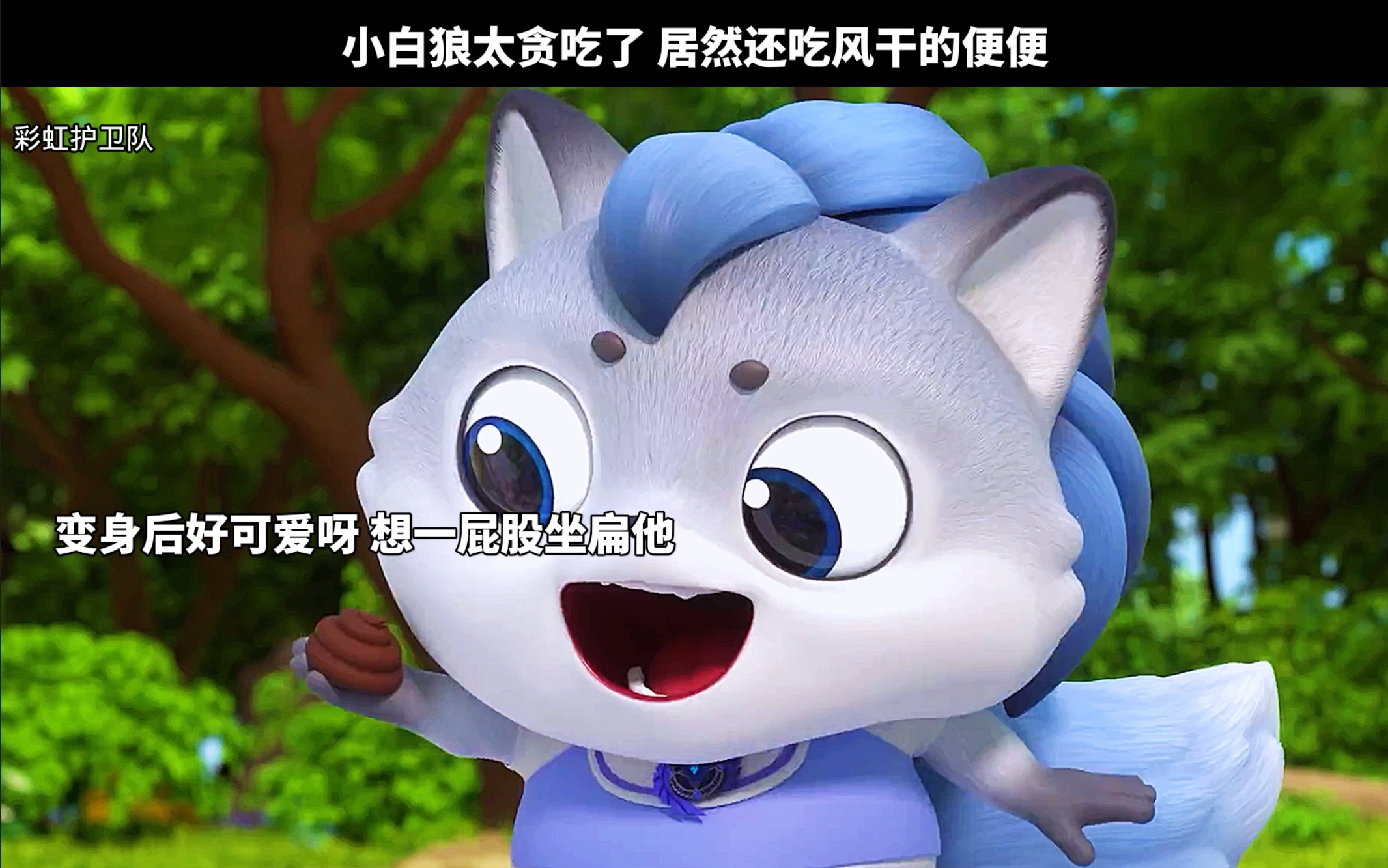 小白狼太能吃了 居然还吃风干的便便