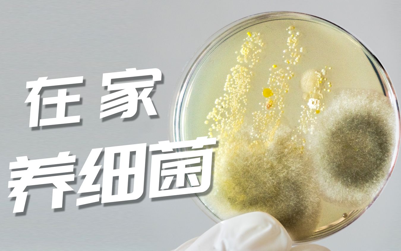 如何在养殖中使用微生物 